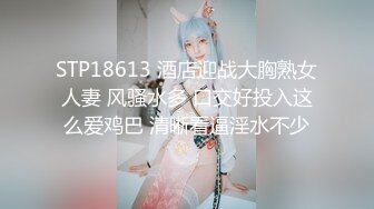 麻豆传媒-台湾第一女优吴梦梦女王的SM调教开发奴性小狼狗