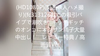 2018年8月 3D動畫分享[むげんどう]おっとりサキュバスちゃん 性春白書[BIG5]