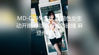 (麻豆傳媒)(mfk-0026)(20231017)年輕的家政婦