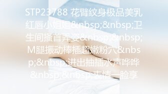 STP23788 花臂纹身极品美乳红唇小姐姐&nbsp;&nbsp;卫生间搔首弄姿&nbsp;&nbsp;M腿振动棒插超嫩粉穴&nbsp;&nbsp;进出抽插水声哗哗&nbsp;&nbsp;表情一脸享