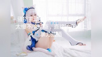 目醒めてしまう、マゾの快感。 奴●姉妹 乙アリス 铃音杏夏