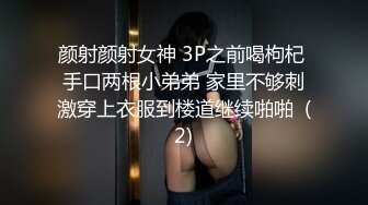 月崽 性感黑色时尚上衣 妙多姿的娇躯亭亭而立 妩媚姿态淋漓呈现[83P/702M]