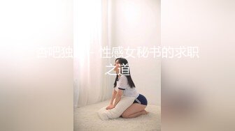 杏吧独家 - 性感女秘书的求职之道