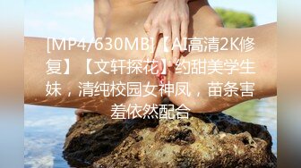 SDAM-009 不輸男人工科正妹身穿作業服再次下海拍片 西條樹【中文字幕】