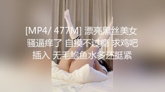 女友的E奶大胸