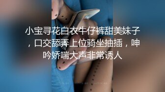 我的小母狗们·