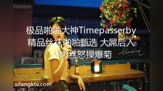 极品啪啪大神Timepasserby精品丝袜啪啪甄选 大屌后入钻肉丝怒操爆菊