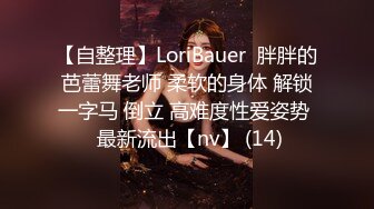 【自整理】LoriBauer  胖胖的芭蕾舞老师 柔软的身体 解锁一字马 倒立 高难度性爱姿势  最新流出【nv】 (14)