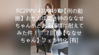 [Rinhee] 12月の映像 [鵗]