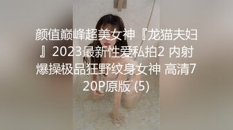 与肥母狗的一天