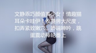 国产麻豆AV MD MD0030 淫过年下-淫荡侄女的新年茎喜 欧美玲