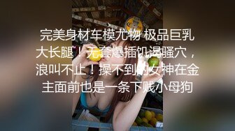 小母狗简短爬行