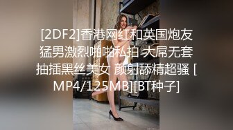 骚老婆的小尾巴