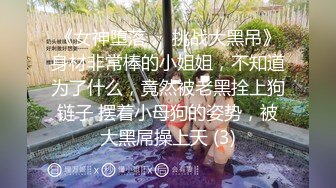 原创蕊蕊豹纹