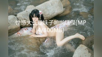 原创自拍流水的骚狗穴里含着骚母狗最喜欢的假鸡巴