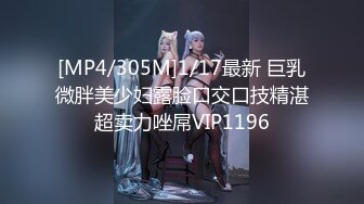 91经典系列资源整理合集P19【23V】 (2)