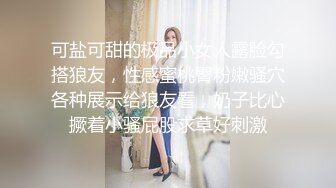 028捆绑抽打骚母狗老婆