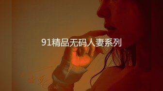 91精品无码人妻系列