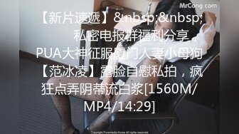 [MP4/539MB]麻豆傳媒 MPG0126 出遊遭隔壁旅客強上 宋東琳