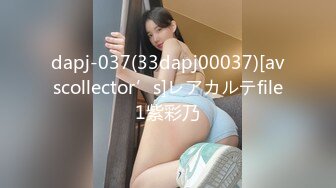 dapj-037(33dapj00037)[avscollector’s]レアカルテfile1紫彩乃