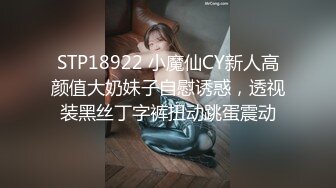 STP18922 小魔仙CY新人高颜值大奶妹子自慰诱惑，透视装黑丝丁字裤扭动跳蛋震动