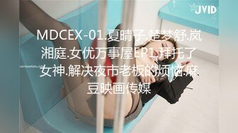 MDCEX-01.夏晴子.楚梦舒.岚湘庭.女优万事屋EP1.拜托了女神.解决夜市老板的烦恼.麻豆映画传媒