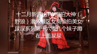 十二月新流出TW厕拍大神（野狼）潜入景区女厕偷拍美女尿尿系列第十六季几个妹子蹲在上面尿尿