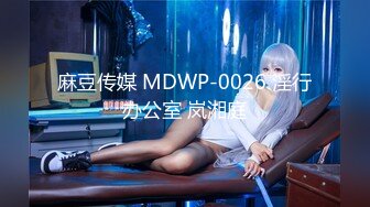 嫂子的职业MySisterinlawsJob2017HD1080P韩语中字