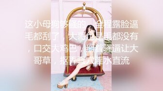 乌克兰美女Mila Azul的Onlyfans最新大合集，各种道具秀尺度更大，肛塞、假jb、电动玩具自慰【730V】 (238)